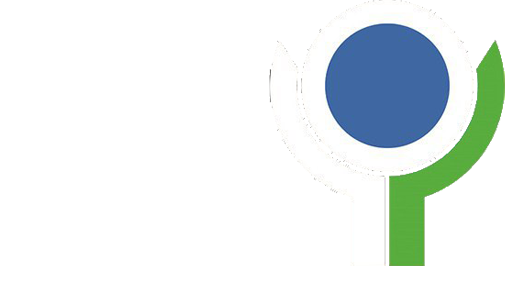 فروغ خراسان جنوبی
